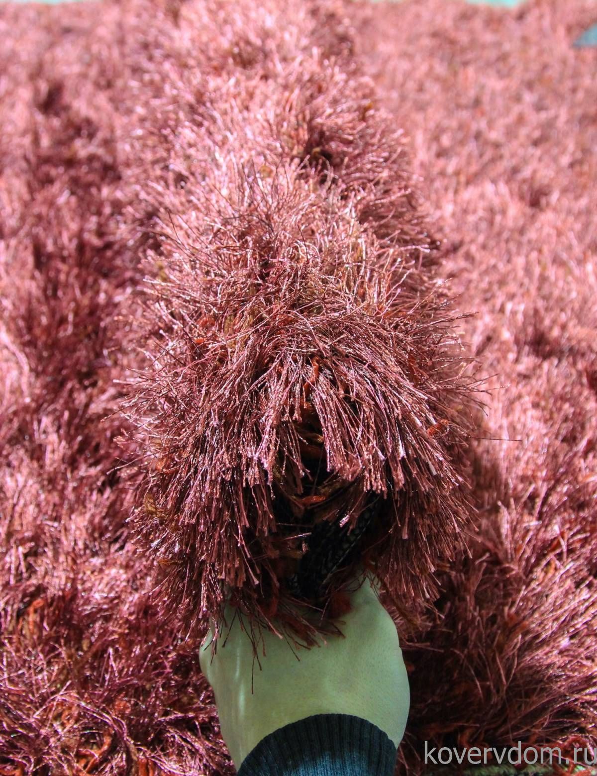 Ковер RHAPSODY 25-01 308 V Ковер RHAPSODY 25-01 308 V